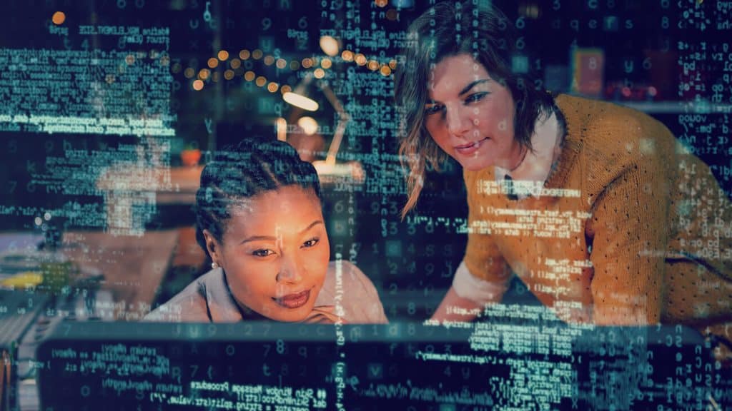 Web Developer and Software Developer: What’s the Difference?